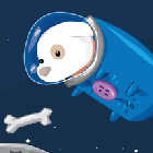 Space Doggy